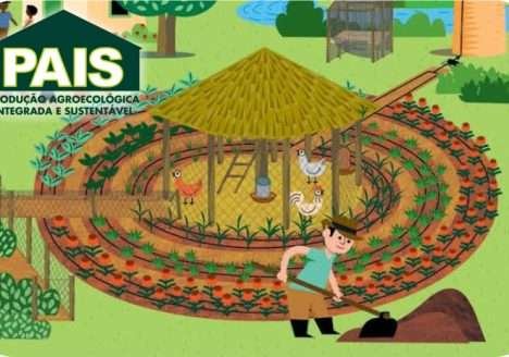 Produção Agroecológica Integrada