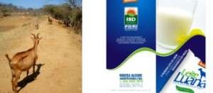 fotos: Fazenda Tamandua