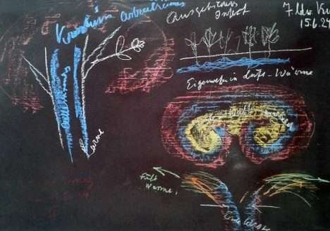 Embrapa confirma a importância da biodinâmica para a agricultura e o meio ambiente