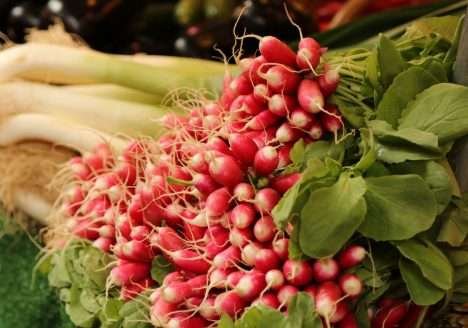 Millennials: a geração que está impulsionando o consumo de alimentos orgânicos