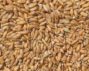 foto: TopSecret Writers