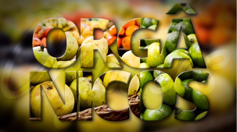 serie organicos TV Fato