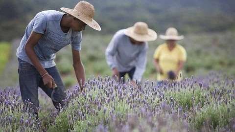 size_960_16_9_souvie