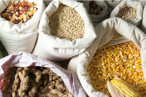 Brasília recebe curso de formação para direitos dos agricultores  sobre recurso da Reaf Mercosul