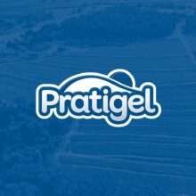 Pratigel