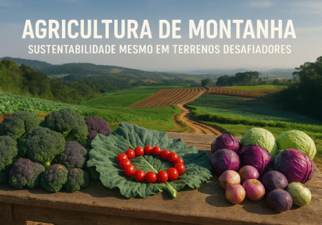 Agricultura de Montanha: Sustentabilidade Mesmo em Terrenos Desafiadores