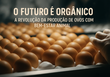 O Futuro é Orgânico: A Revolução da Produção de Ovos com Bem-Estar Animal