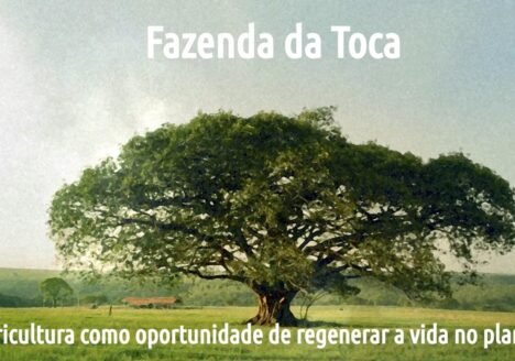 Transformando o campo: a revolução agroflorestal da Fazenda da Toca por Pedro Diniz