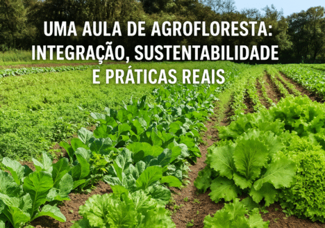 Uma Aula de Agrofloresta: Integração, Sustentabilidade e Práticas Reais