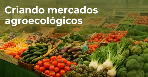 Criando mercados agroecológicos – Access Agriculture