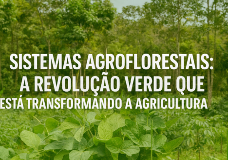 Sistemas Agroflorestais: A Revolução Verde Que Está Transformando a Agricultura
