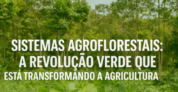 Sistemas Agroflorestais: A Revolução Verde Que Está Transformando a Agricultura