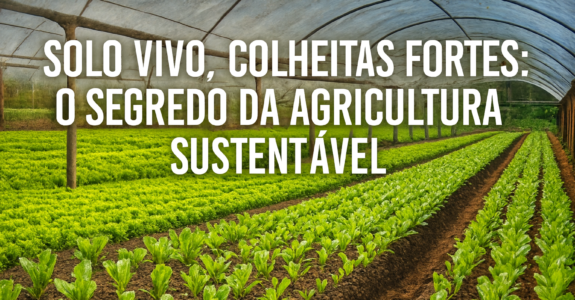 Solo Vivo, Colheitas Fortes: O Segredo da Agricultura Sustentável